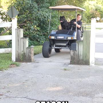 Train your dog on a tight budget. Head over to DIYK9.com and use code BF30 at checkout!