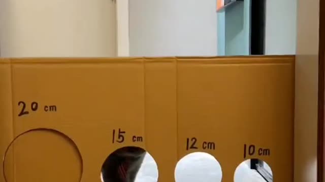 Ithinkcatsaremadeofwater.
