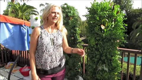 Future Growing® Tower Garden® Farm Di Hope4Kids Preschool