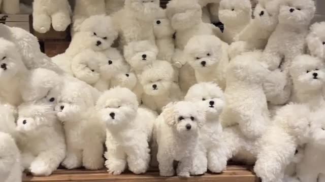 cute ❤
