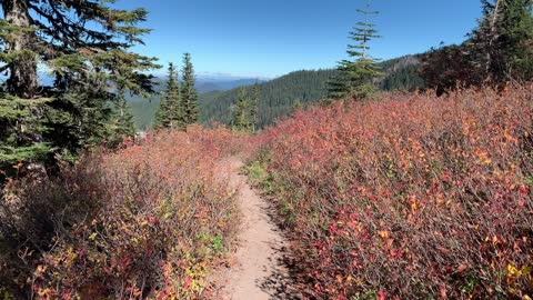 Oregon – Mount Hood – Alpine Hiking in Autumn at Double Speed!