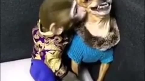 Quando amor tá brabo !