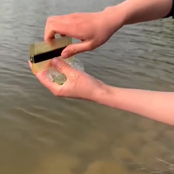 AMAZING BEAUTY HACKS WITH ALOE VERA