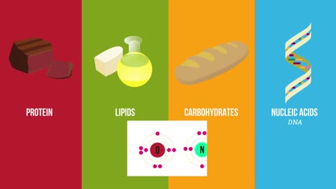 Biological Molecules | Cells |