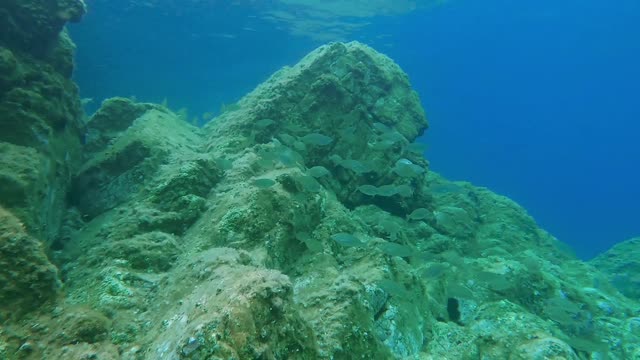 You. Relax. Now. 44 minutes of fantastic underwater footage and beautiful music