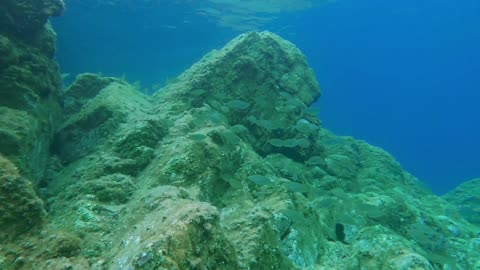 You. Relax. Now. 44 minutes of fantastic underwater footage and beautiful music