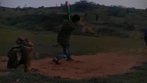 Cricket lovers