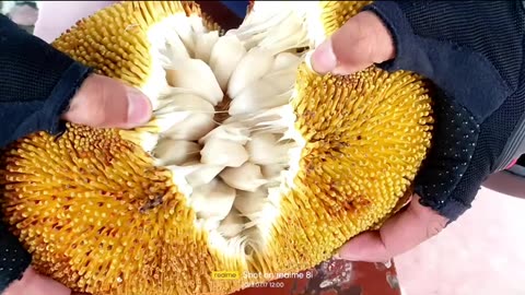 Marang Fruit