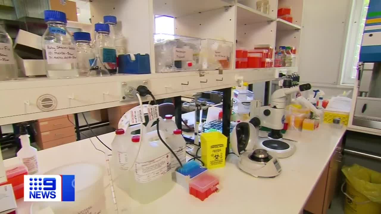 Australian Researchers Push Towards Needle Free Jabs