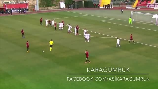 Dog Play football at the international stadium