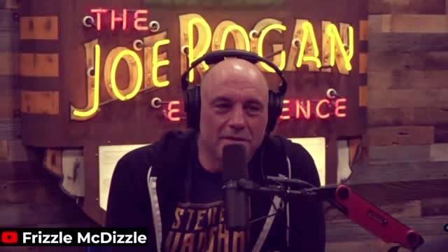 Joe Rogan compares pugs to wolves and male feminist's to Vikings