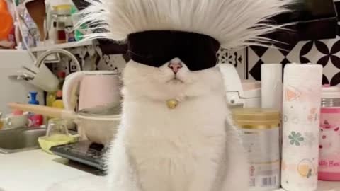 Comment song suggestions