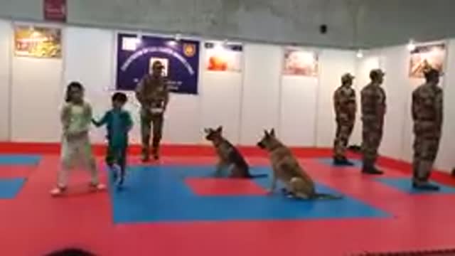 CISF demonstration of Dog Squad