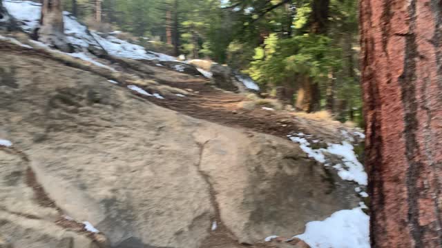 Ascending the Rocky Trail to Overlook Whychus Creek – Central Oregon