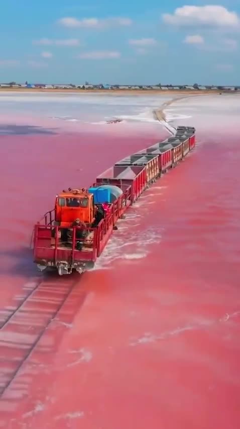 Lake Burlinskoye in the Altai Territory