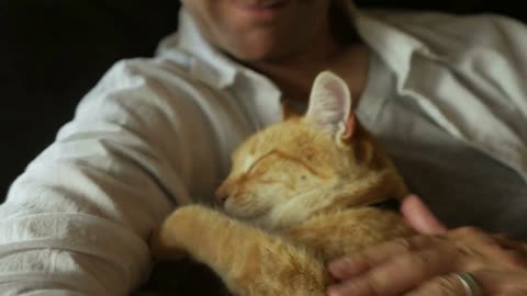 A man gently pets his orange cat while holding it in his arms in slow motion