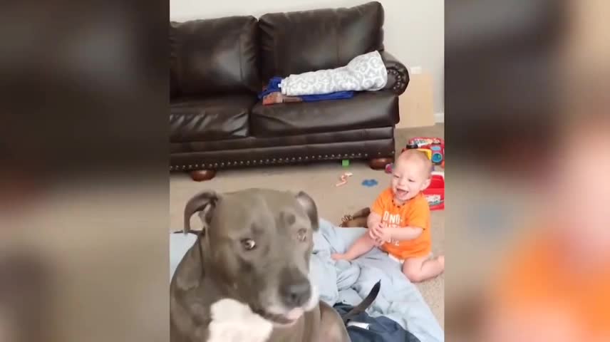 Cute baby play with dog