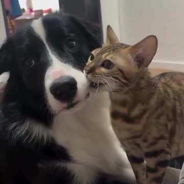 I love you so much I can bite you 😊