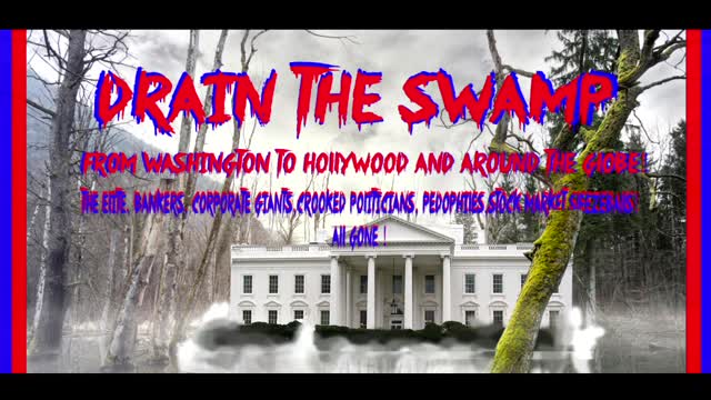 DRAIN THE SWAMP