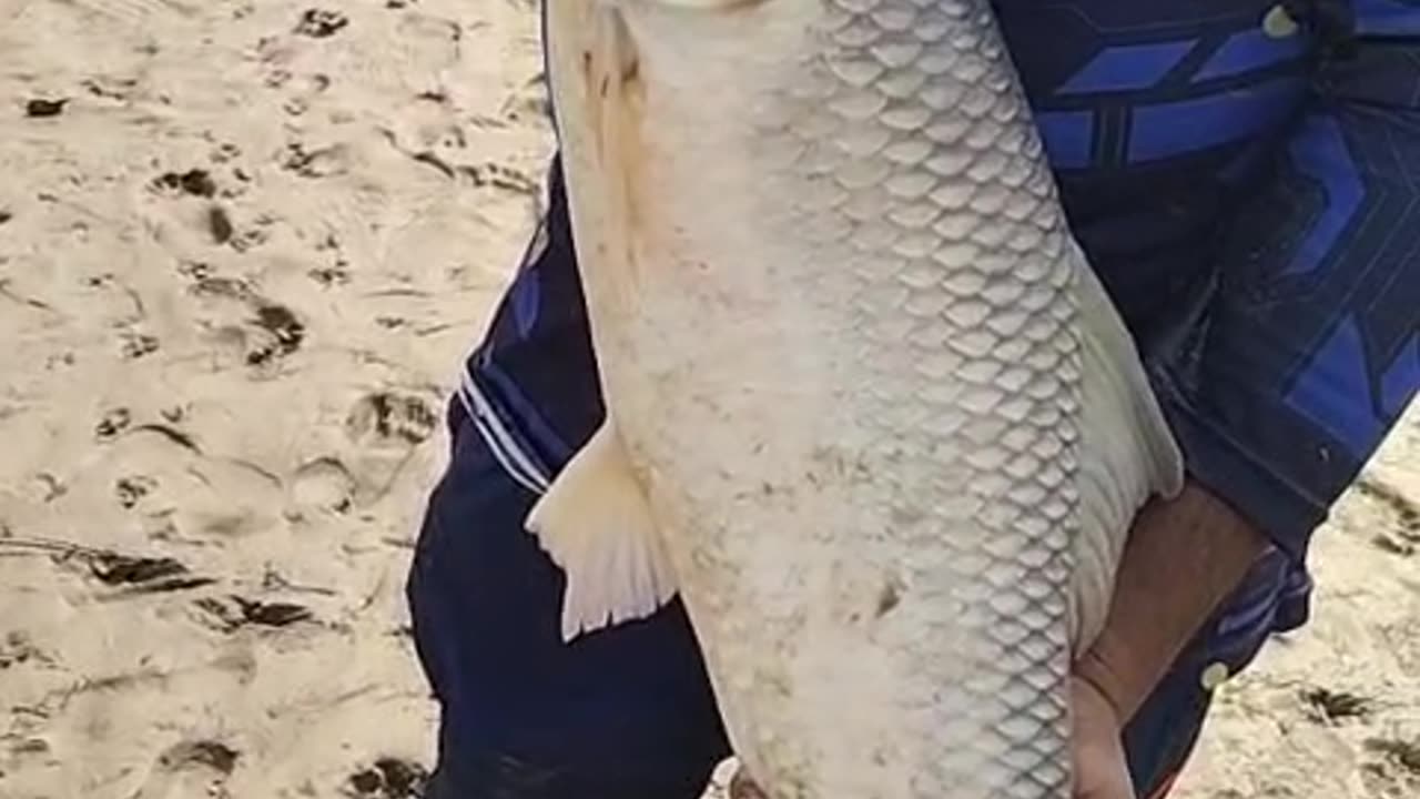 Great fishing by Musa Raza Khan 17/09/2023