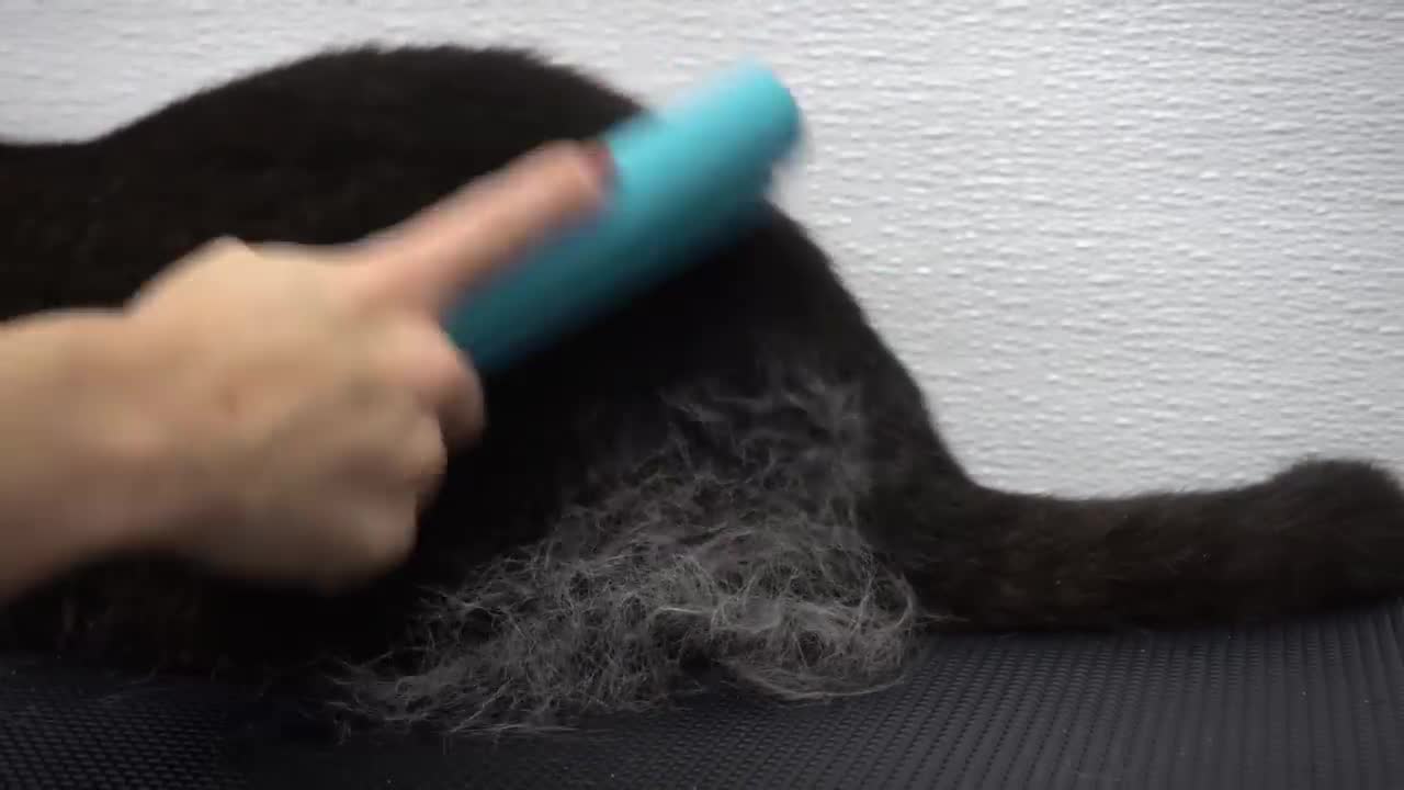 The BEST de-shedding brush Must have for pet owners!