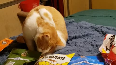 Snack/treat time