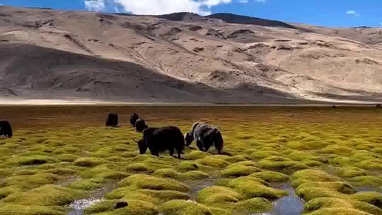 Places that don’t feel real in India travel explore adventure nature