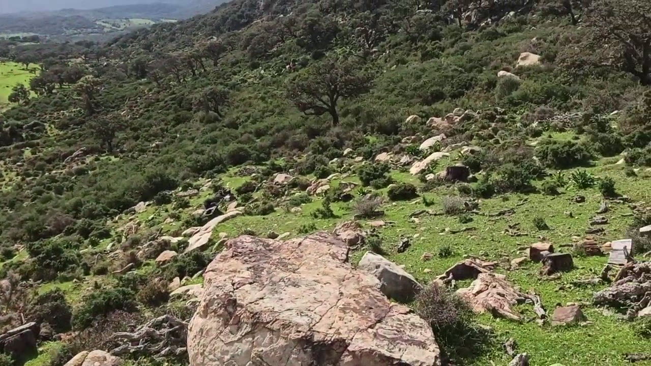 Trip to the Caves with Lady faith.