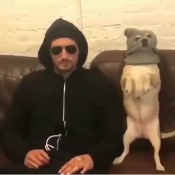 This ain’t their first rodeo.