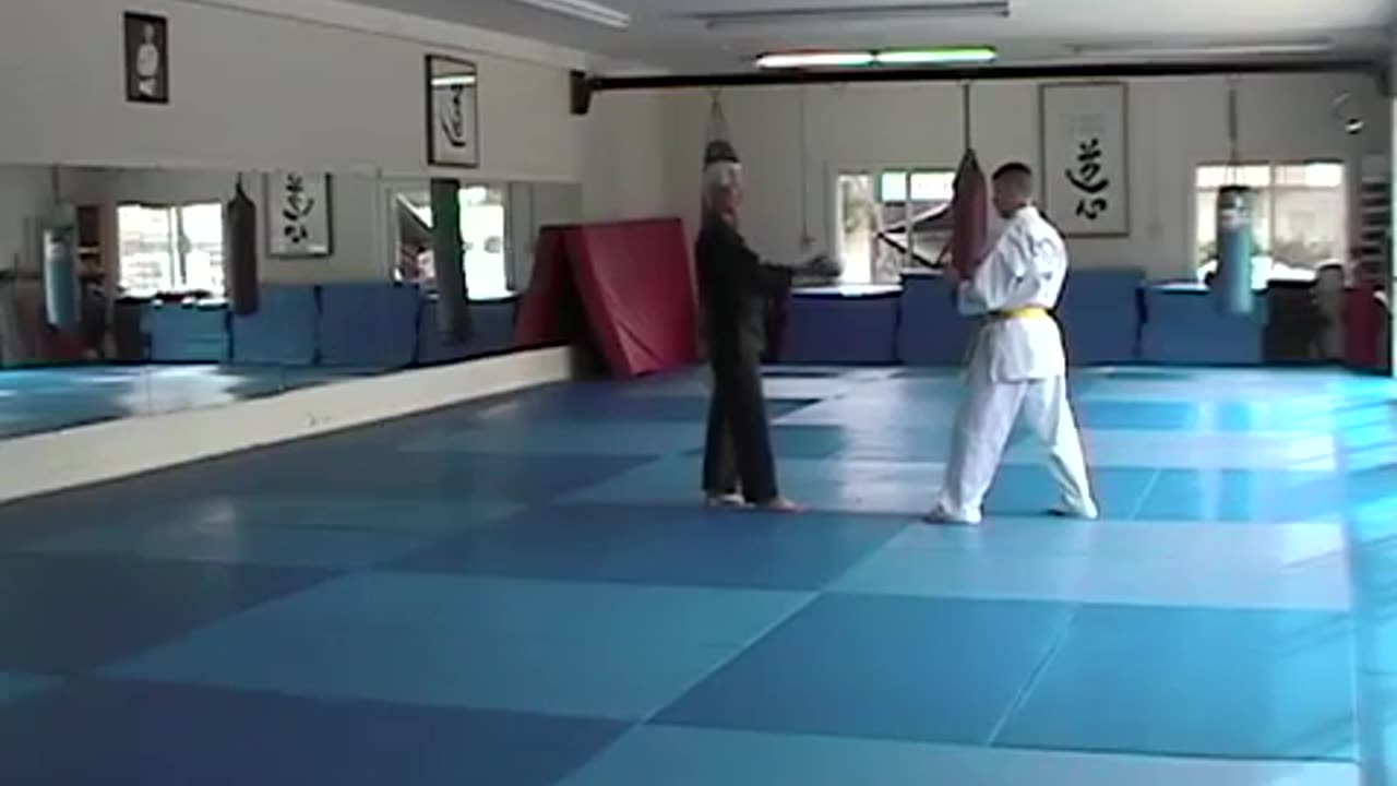 Bong Soo Han Hapkido Part 12 Private Hapkido lesson with Grandmaster Bong Soo Han 2005