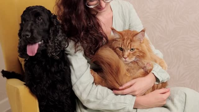 Why Cat's and dog's are much love with women instead men