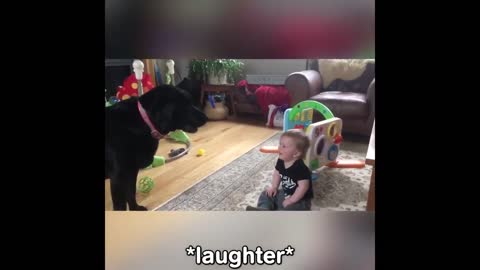 Funny Baby Video - Baby Cat and Dog VS fails