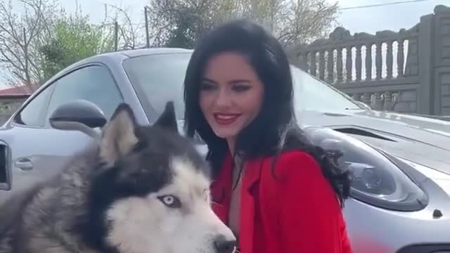 My favorite Husky