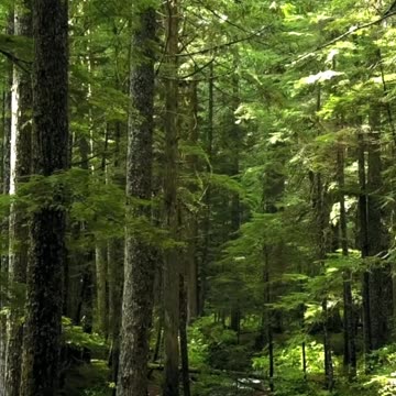 4 Things You Can't Get Back | Life Lessons