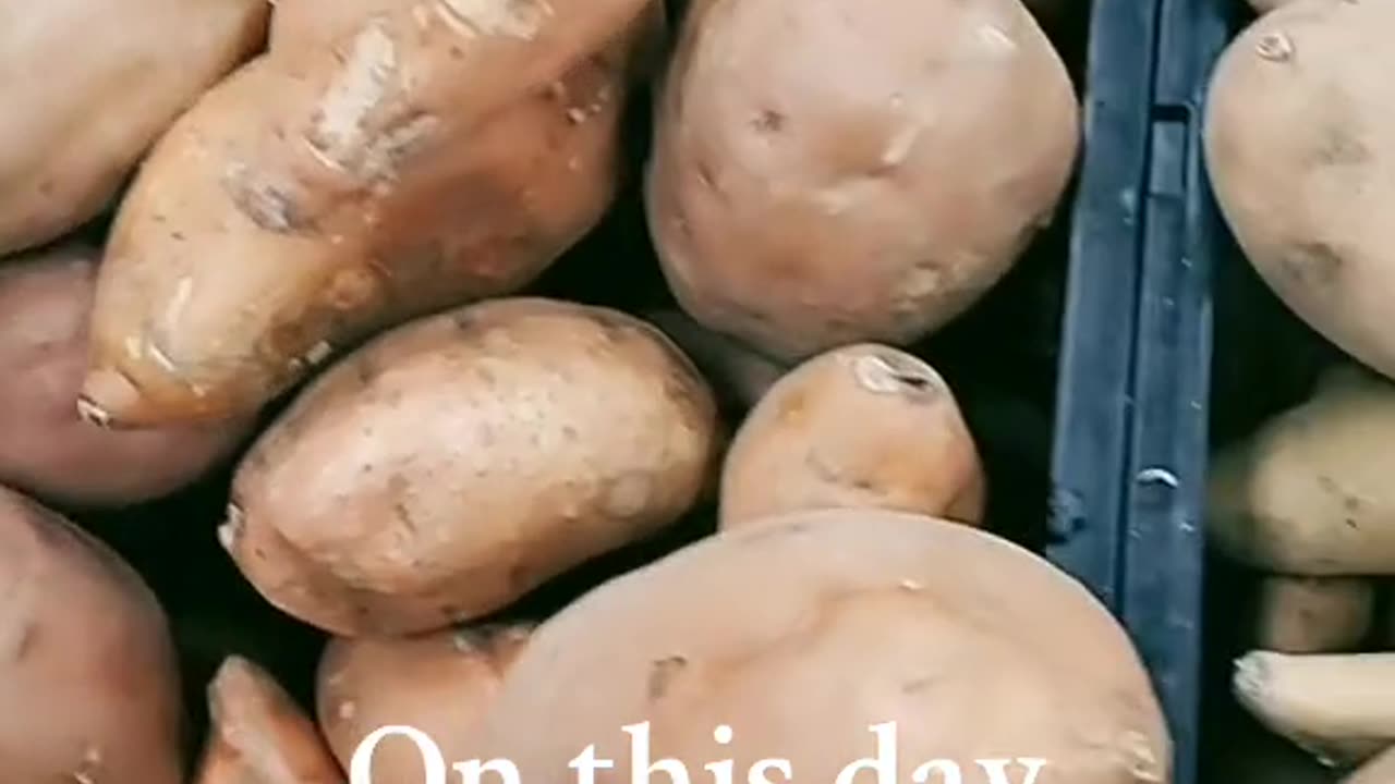 Potato song