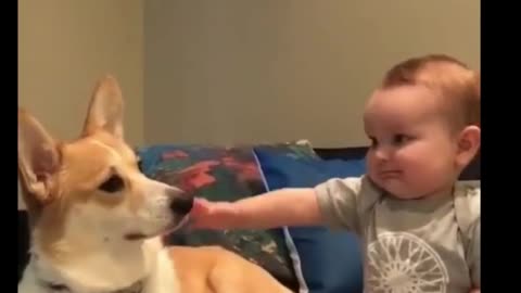 BEBES FOFINHOS SE DIVERTINDO