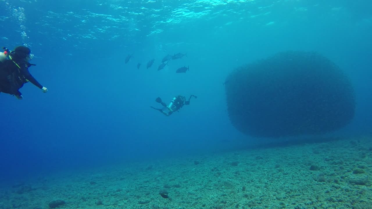 UNDERWATER VIEW