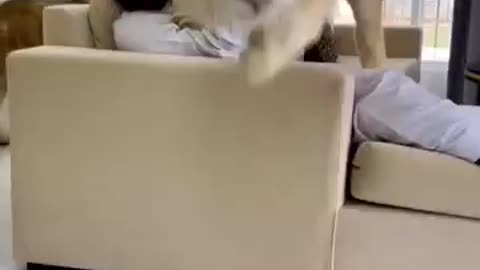 Dubai king