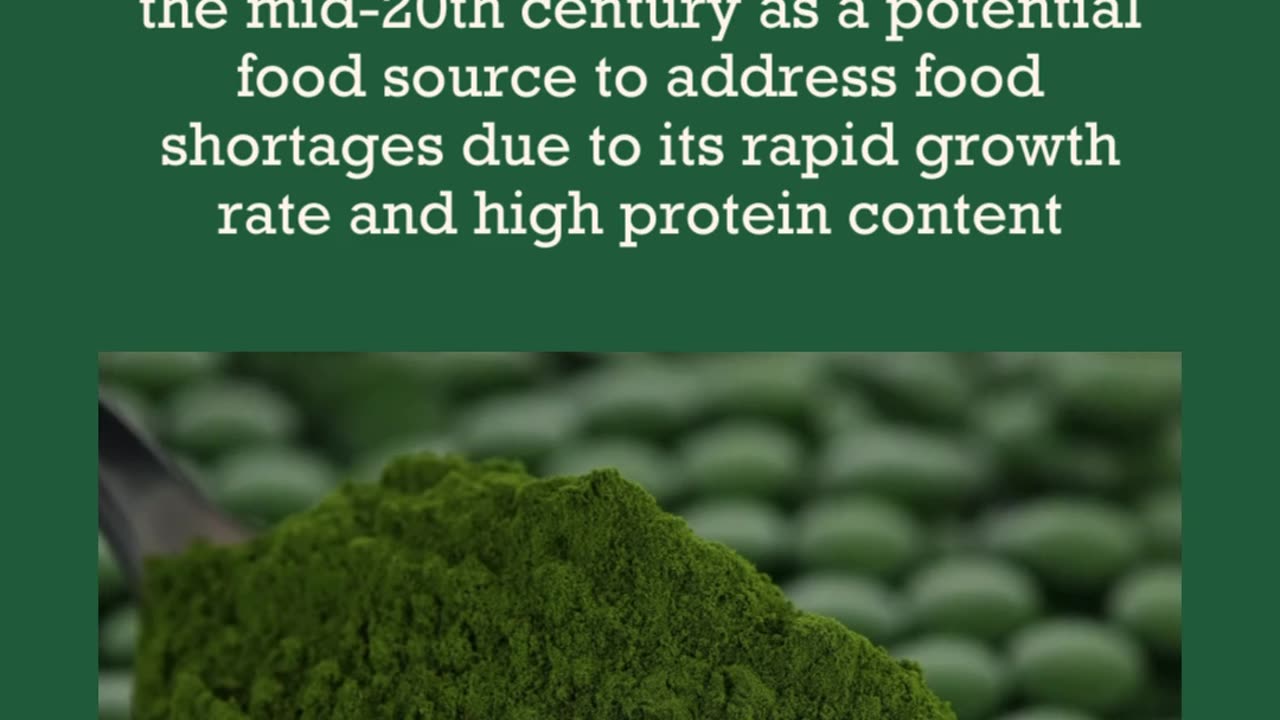 Chlorella - Historical Background with Dr. Bob