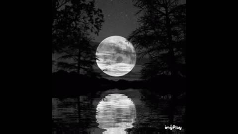 The Power Within☯️