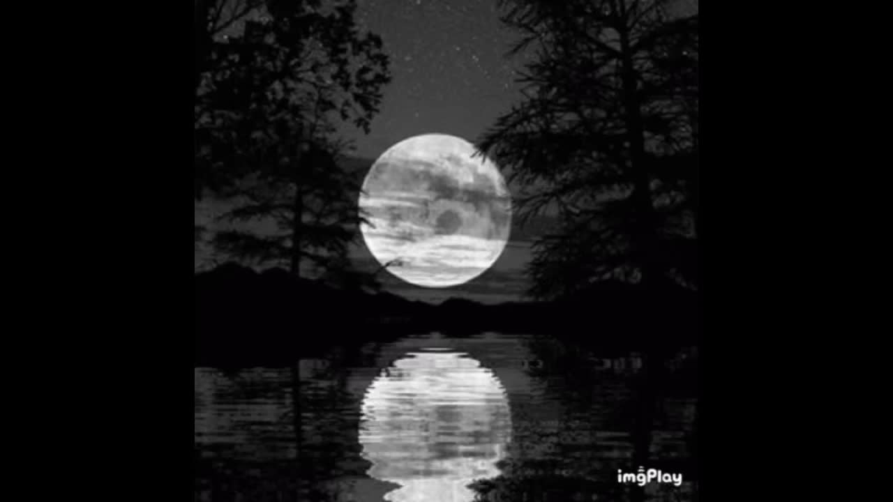 The Power Within☯️