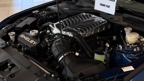 Shelby Mustang Gt500 Super Snake 2023