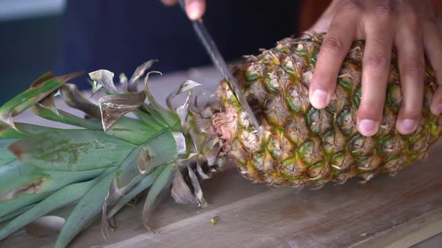 Grow Pineapple Plant from Grocery Store Bought Pineapple