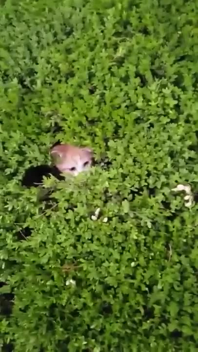 #FYP #ForYou #TikTokFYP #ForYouPage #Trending #Viral #ExplorePage #FYPシ