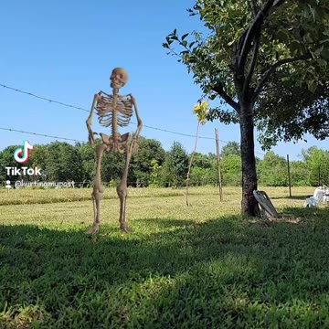 Skeleton dancing in my pet cemetery?
