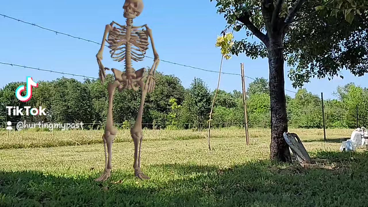 Skeleton dancing in my pet cemetery?