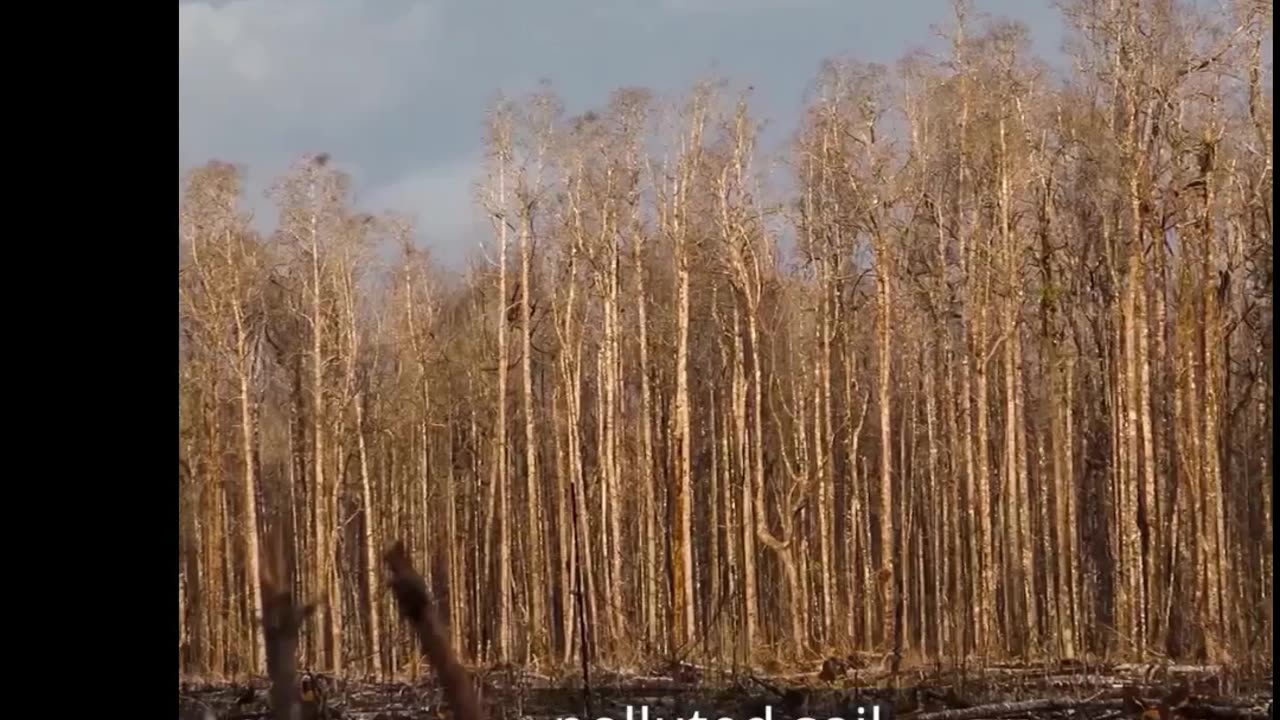 Gold mining