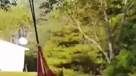 Swing on a swing