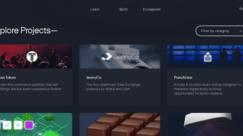 What is the Constellation (DAG) currency, what is its project, and what is it building?