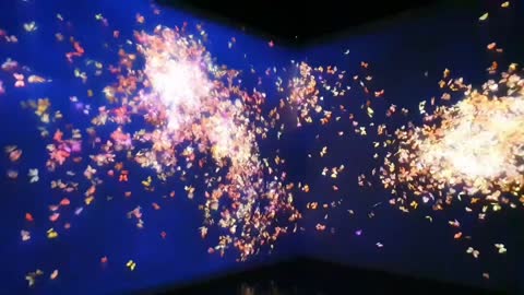 teamLab:LIFE exhibition 8